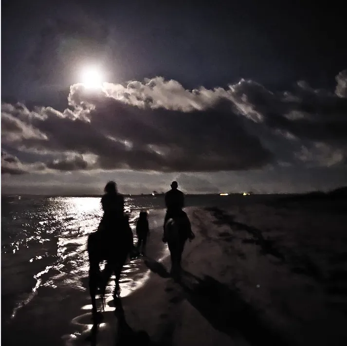full-moon-1.webp